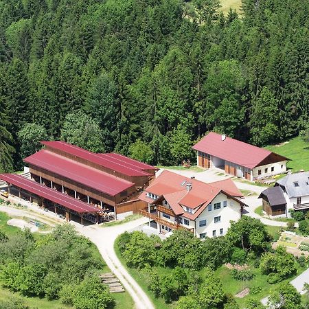 Ferienwohnungen Bauernhof Schilcher Sankt Stefan im Lavanttal Kültér fotó