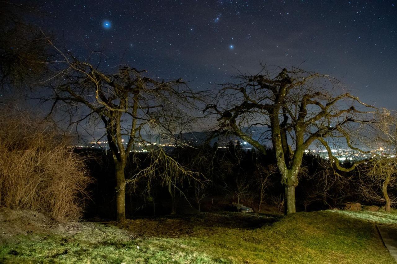 Ferienwohnungen Bauernhof Schilcher Sankt Stefan im Lavanttal Kültér fotó
