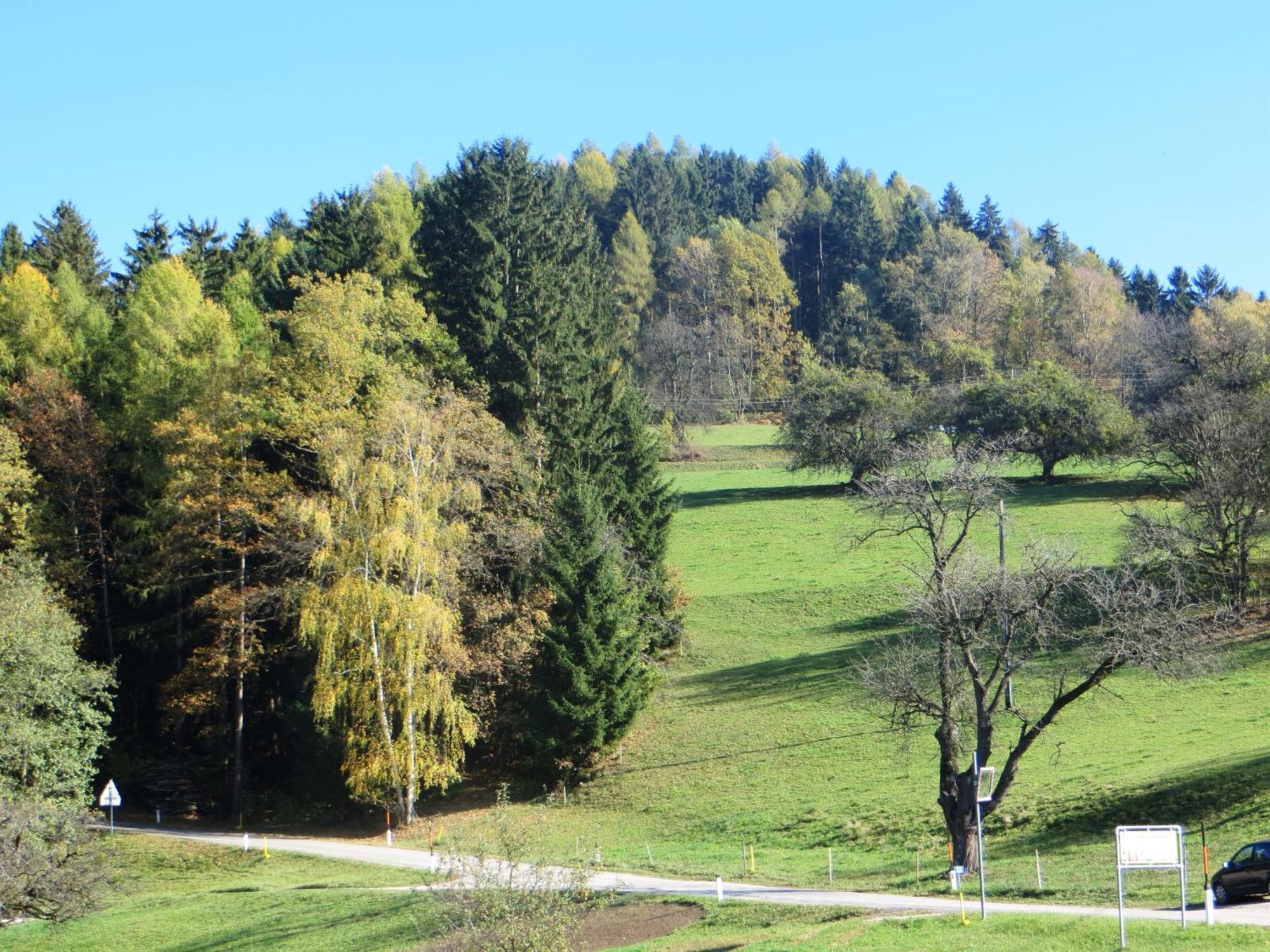 Ferienwohnungen Bauernhof Schilcher Sankt Stefan im Lavanttal Kültér fotó