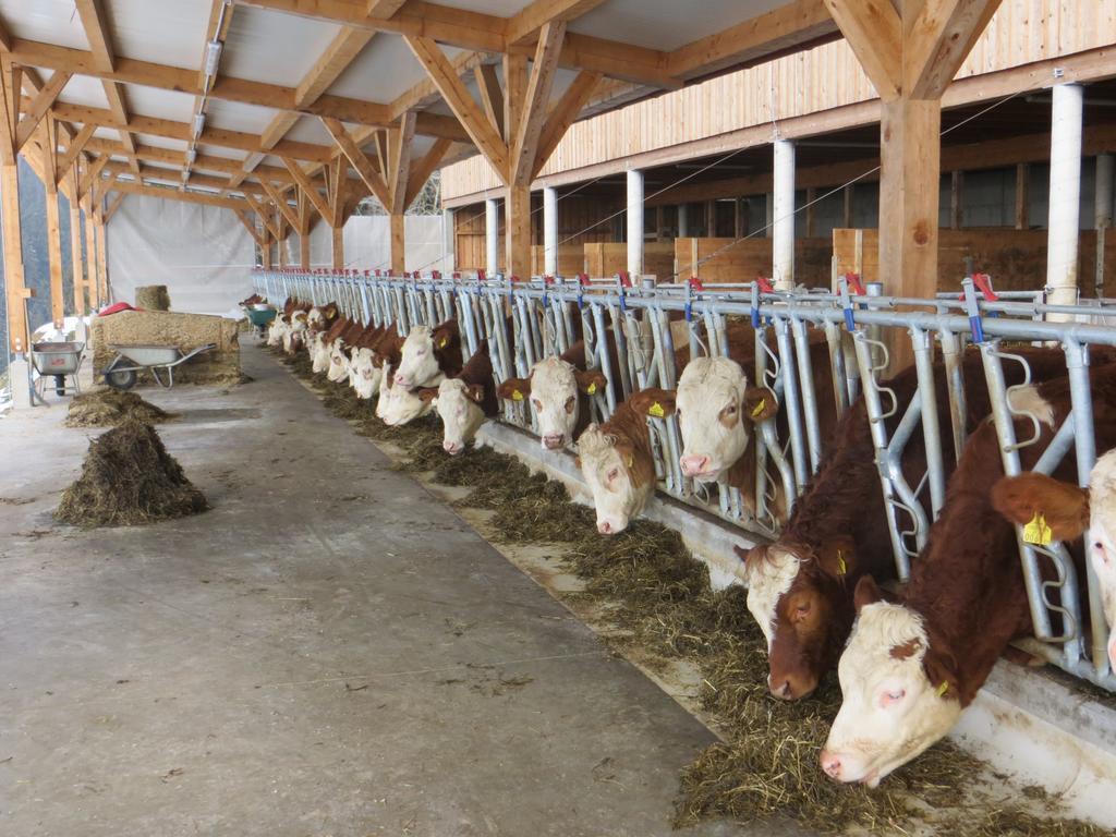 Ferienwohnungen Bauernhof Schilcher Sankt Stefan im Lavanttal Kültér fotó