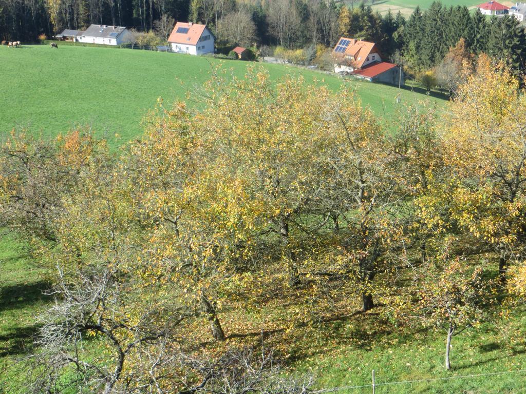 Ferienwohnungen Bauernhof Schilcher Sankt Stefan im Lavanttal Kültér fotó