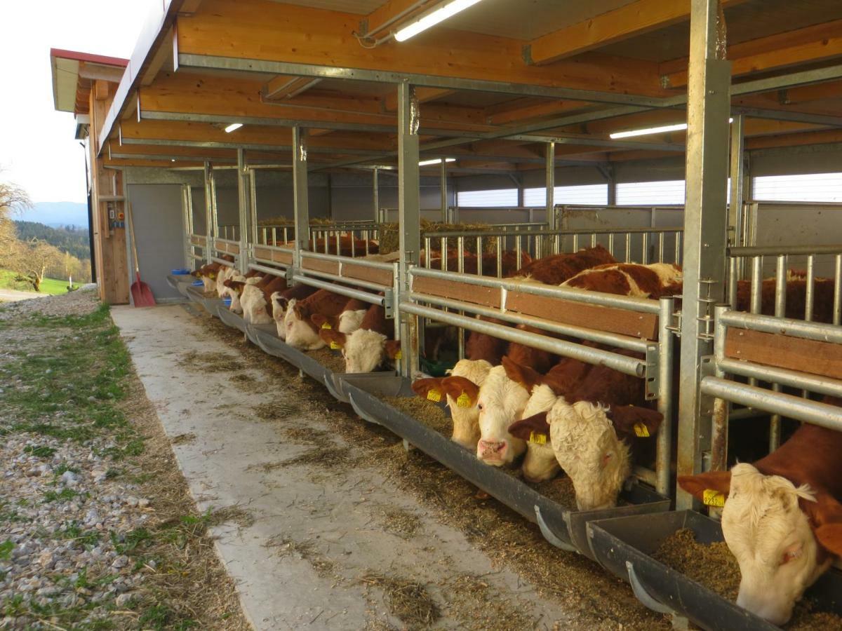 Ferienwohnungen Bauernhof Schilcher Sankt Stefan im Lavanttal Kültér fotó
